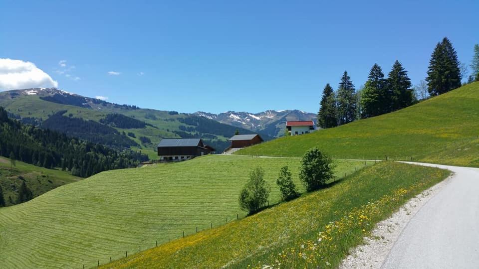 Villa Haus Am Sonnberg Maria Alm am Steinernen Meer Exterior foto